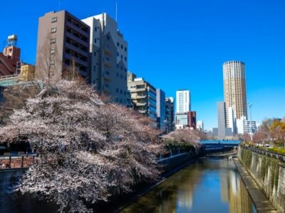 「目黒区で訪問取材に対応した自分史作成サービス。親や故人・ペットの思い出を一冊の本に残せます。」