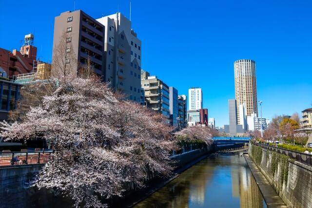 「目黒区で訪問取材に対応した自分史作成サービス。親や故人・ペットの思い出を一冊の本に残せます。」