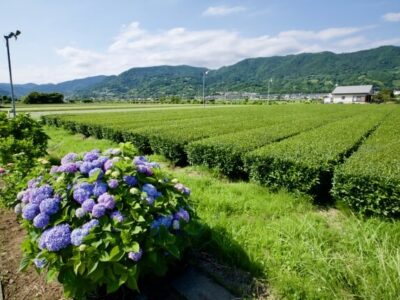 開成町