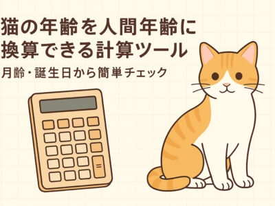 猫の年齢を人間年齢に換算できる計算ツール｜月齢や誕生日から簡単にチェックできる便利ツール