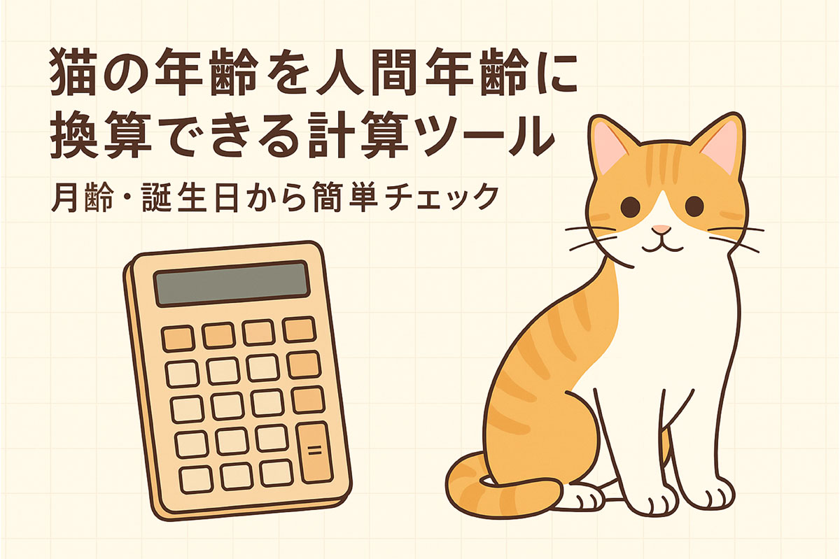 猫の年齢を人間年齢に換算できる計算ツール|月齢や誕生日から簡単にチェックできる便利ツール