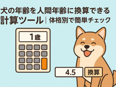 犬の年齢を人間年齢に換算できる計算ツール｜小型犬・中型犬・大型犬の体格別で簡単にチェック可能